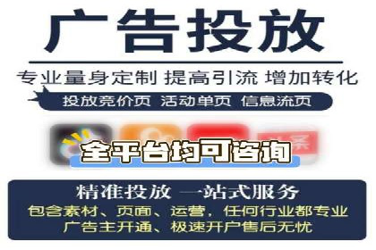 某品牌SEM广告投放的ROI提升案例